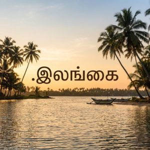 Global Recognition, Trust, and Credibility of (.XN--XKC2AL3HYE2A) .இலங்கை Domains