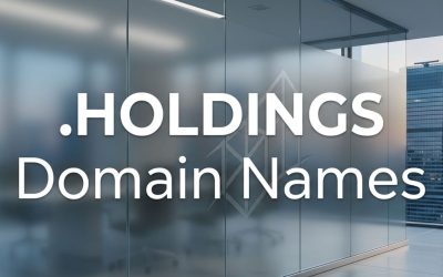 .HOLDINGS Domain Names