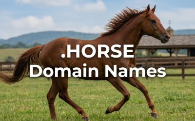 .HORSE Domain Names
