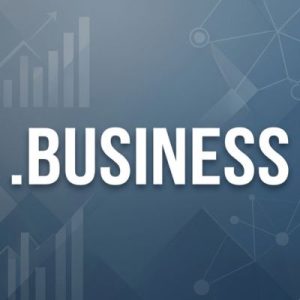 History, Credibility, and Global Popularity of .BUSINESS Domains