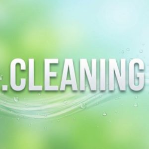 History, Credibility, and Global Popularity of .CLEANING Domains