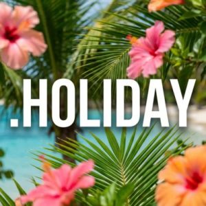 History, Credibility, and Global Popularity of .HOLIDAY Domains