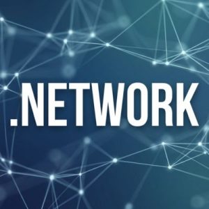 History, Credibility, and Global Popularity of .NETWORK Domains