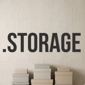History, Credibility, and Global Popularity of .STORAGE Domains