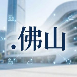 History, Credibility, and Global Popularity of (.XN--1QQW23A) .佛山 Domains