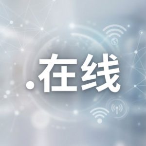 History, Credibility, and Global Popularity of (.XN--3DS443G) .在线 Domains