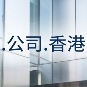 History, Credibility, and Global Popularity of (.XN--55QX5D.XN--J6W193G) .公司.香港 Domains
