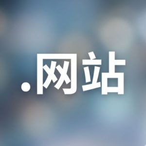 History, Credibility, and Global Popularity of (.XN--5TZM5G) .网站 Domains