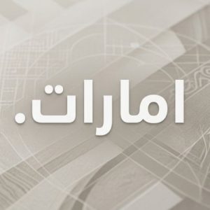 History, Credibility, and Global Popularity of (.XN--MGBAAM7A8H) .امارات Domains