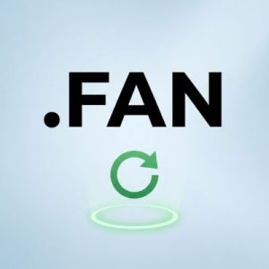 How to Renew a .FAN Domain with Zero Downtime