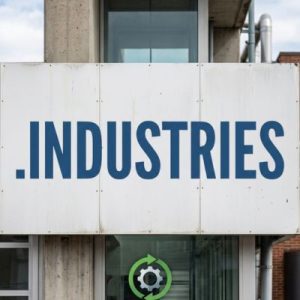 How to Renew a .INDUSTRIES Domain with Zero Downtime