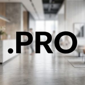 How to Renew a .PRO Domain with Zero Downtime