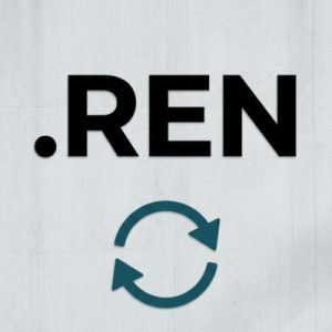 How to Renew a .REN Domain with Zero Downtime