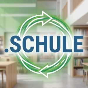 How to Renew a .SCHULE Domain with Zero Downtime