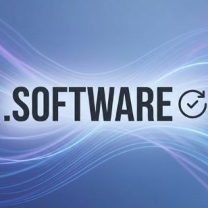 How to Renew a .SOFTWARE Domain with Zero Downtime