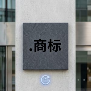 How to Renew a (.XN--CZR694B) .商标 Domain with Zero Downtime