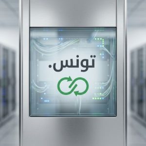 How to Renew a (.XN--PGBS0DH) .تونس Domain with Zero Downtime 