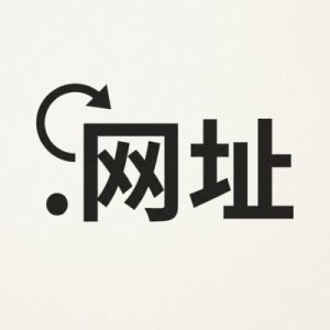 How to Renew a (.XN--SES554G) .网址 Domain with Zero Downtime
