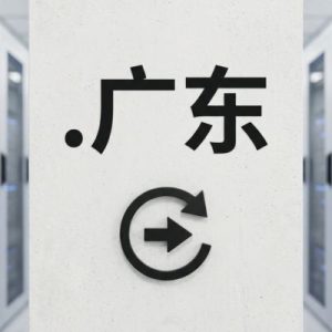 How to Renew a (.XN--XHQ521B) .广东 Domain with Zero Downtime