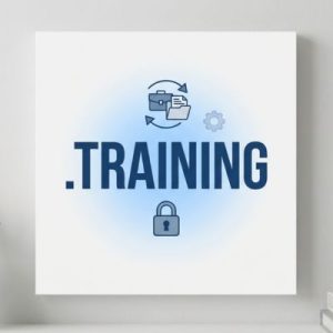 How to Transfer Your .TRAINING Domain Safely and Securely
