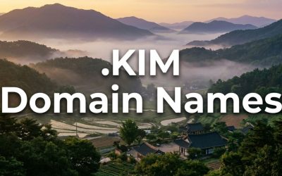 .KIM Domain Names