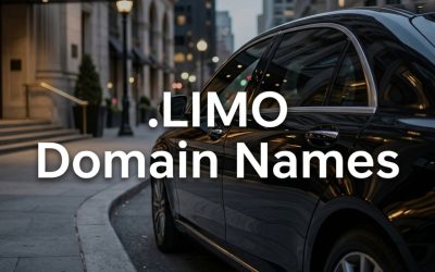 .LIMO Domain Names