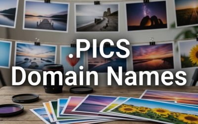 .PICS Domain Names