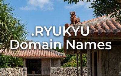 .RYUKYU Domain Names