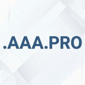Role of the .AAA.PRO Domain Registry