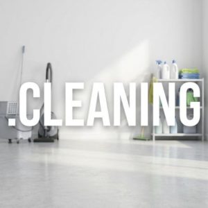 Role of the .CLEANING Domain Registry