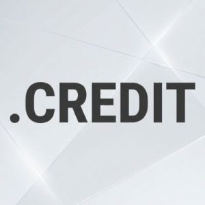 Role of the .CREDIT Domain Registry