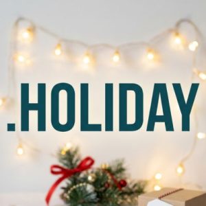 Role of the .HOLIDAY Domain Registry