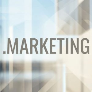 Role of the .MARKETING Domain Registry