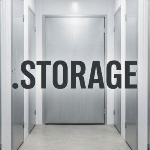 Role of the .STORAGE Domain Registry