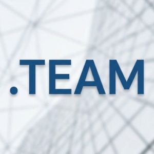 Role of the .TEAM Domain Registry