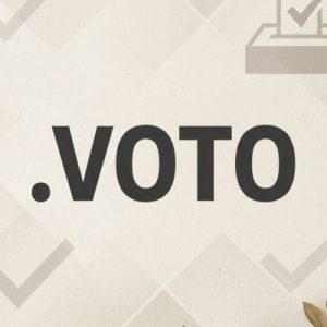 Role of the .VOTO Domain Registry