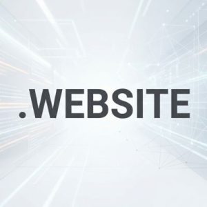 Role of the .WEBSITE Domain Registry