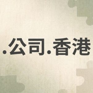Role of the (.XN--55QX5D.XN--J6W193G) .公司.香港 Domain Registry