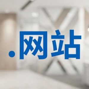 Role of the (.XN--5TZM5G) .网站 Domain Registry