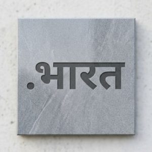 Role of the (.XN--H2BRJ9C) .भारत Domain Registry