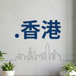 Role of the (.XN--J6W193G) .香港 Domain Registry