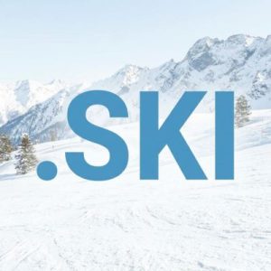 SEO and Marketing Advantages of .SKI Domains