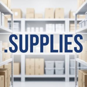 SEO and Marketing Advantages of .SUPPLIES Domains
