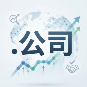 SEO and Marketing Advantages of (.XN--55QX5D) .公司 Domains