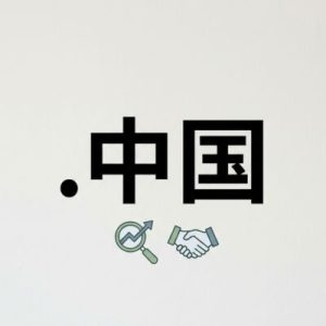 SEO and Marketing Advantages of (.XN--FIQS8S) .中国 Domains