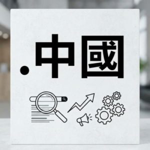 SEO and Marketing Advantages of (.XN--FIQZ9S) .中國 Domains