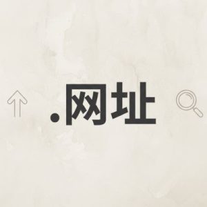 SEO and Marketing Advantages of (.XN--SES554G) .网址 Domains