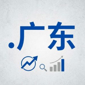 SEO and Marketing Advantages of (.XN--XHQ521B) .广东 Domains