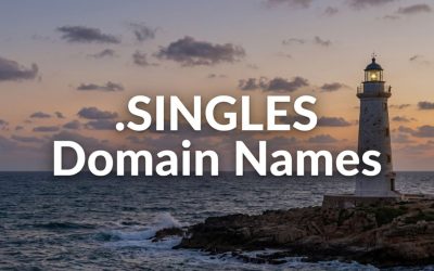 .SINGLES Domain Names
