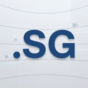 Step-by-Step Process to Register a .SG Domain